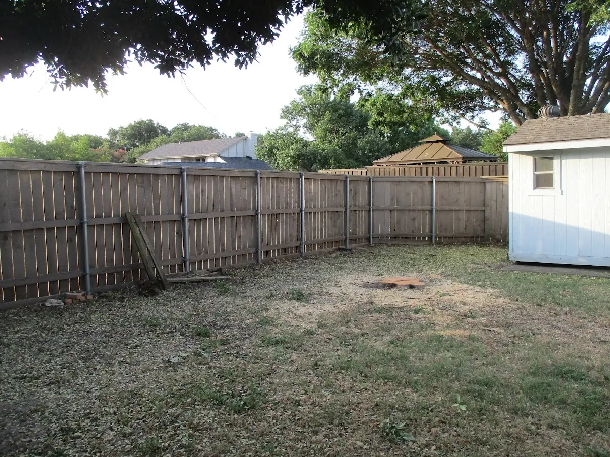 Cleared yard after professional tree removal in Thomson